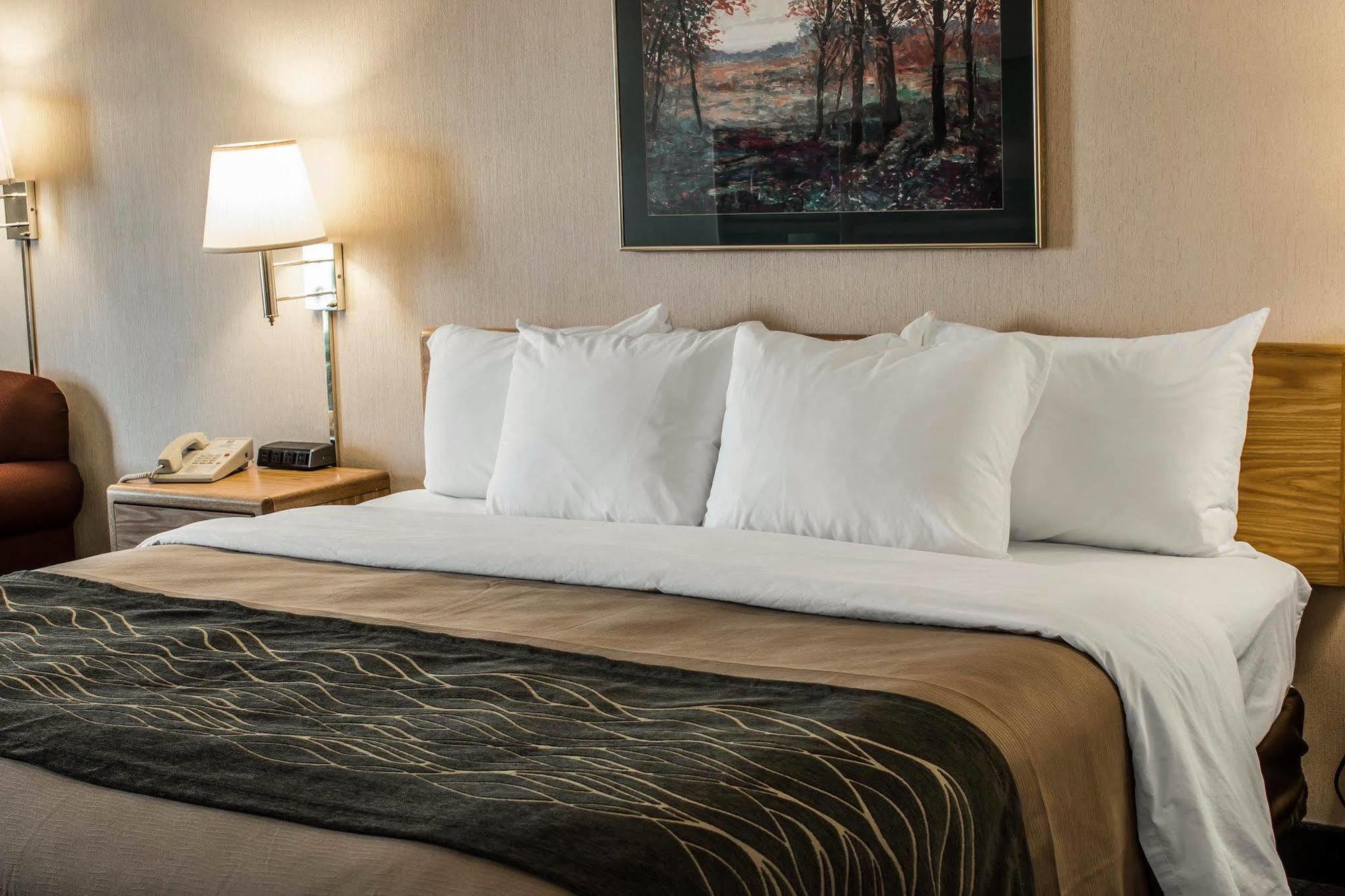 Comfort Inn Шарлът Екстериор снимка